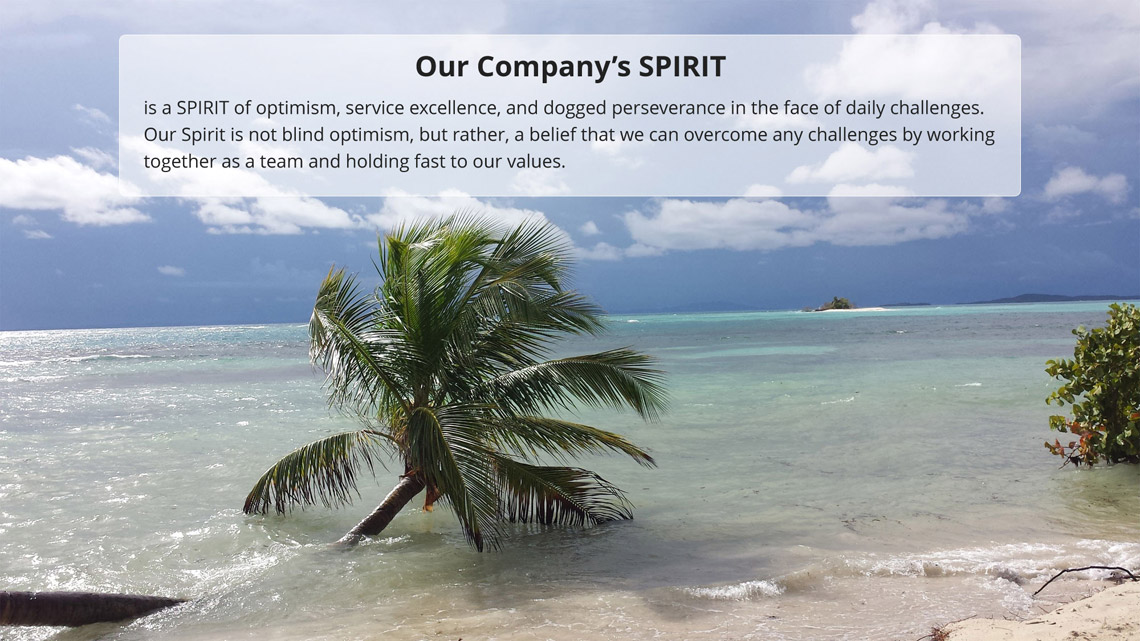 Spirit Services upholds the qualities regarded as forming the definitive of the environmental industry.